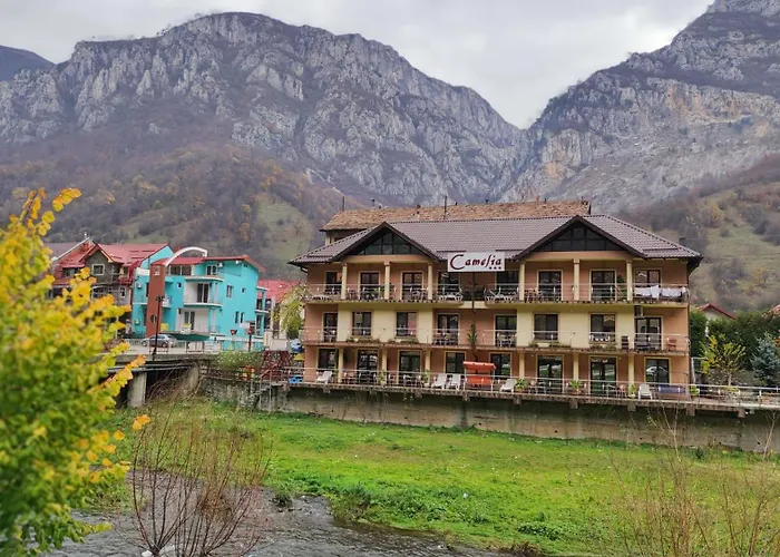 Pension CameliaPensiune